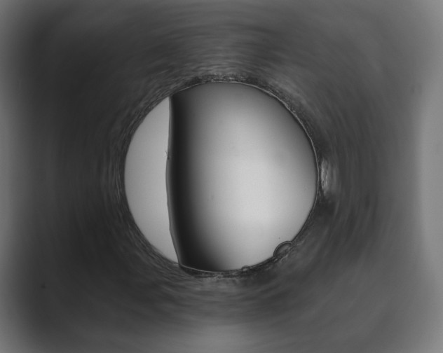 X0000089851107200706281015