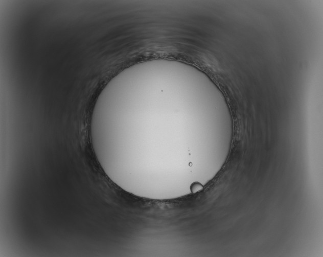 X0000089851109200706281015