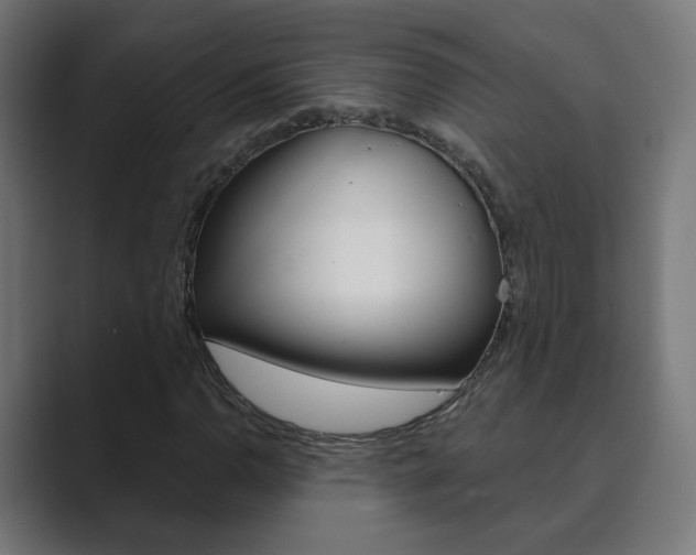 X0000089851110200706281015