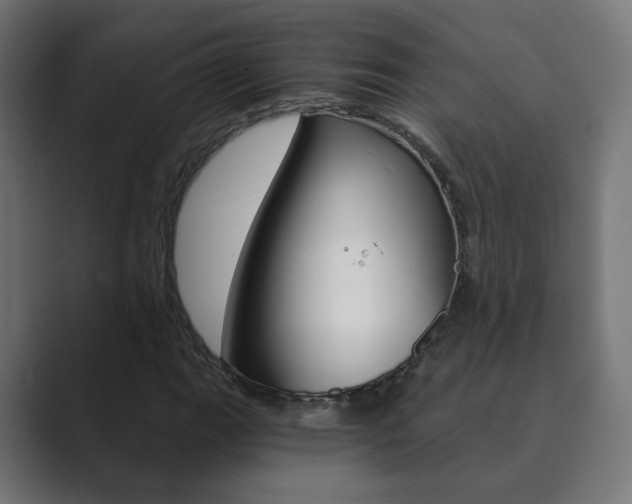X0000089851111200706281015