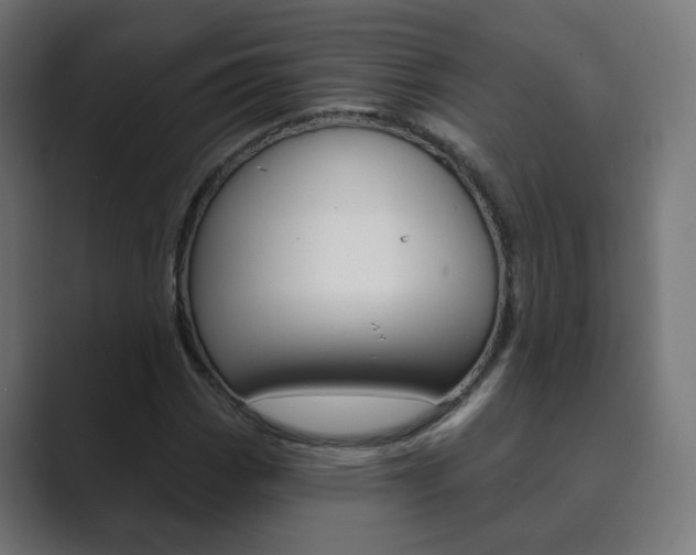 X0000089851113200706281015