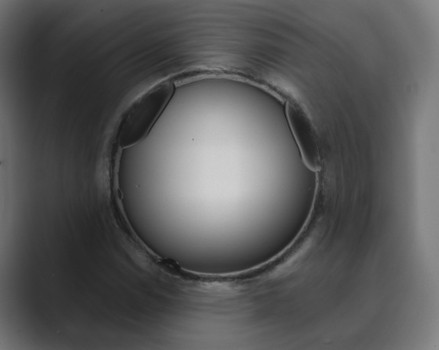 X0000089851114200706281015