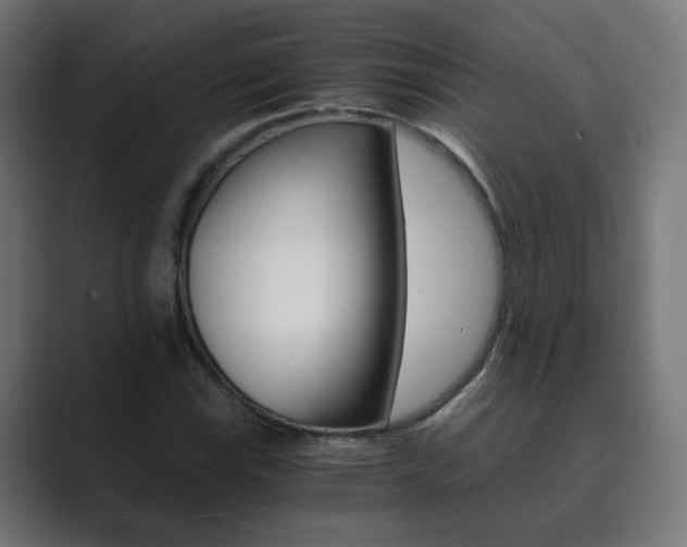 X0000089851115200706281015