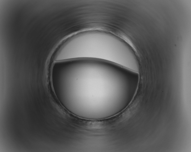 X0000089851116200706281015