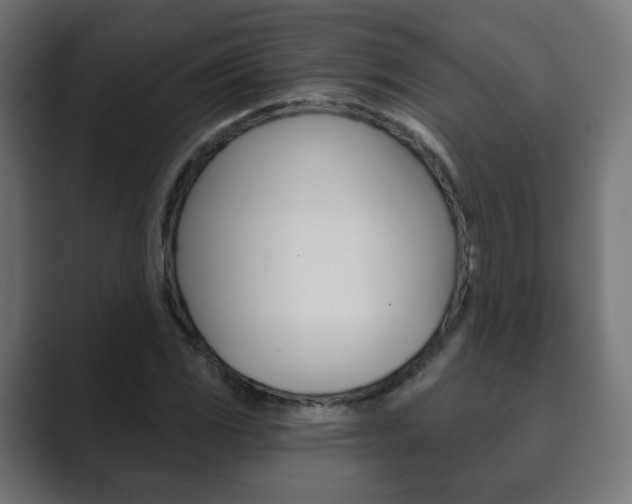 X0000089851117200706281015