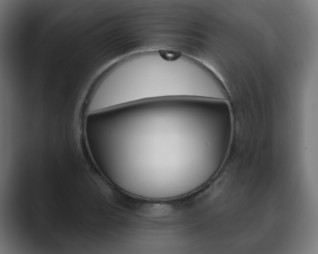 X0000089851119200706281015