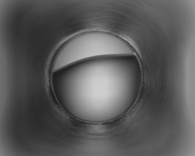 X0000089851120200706281015