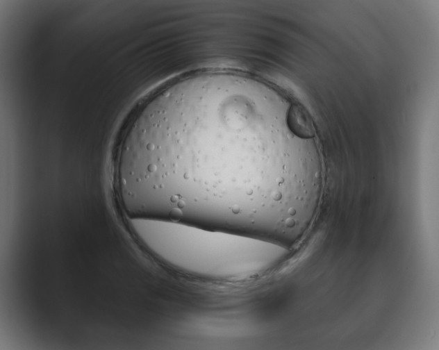 X0000089851125200706281015
