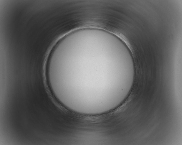X0000089851128200706281015