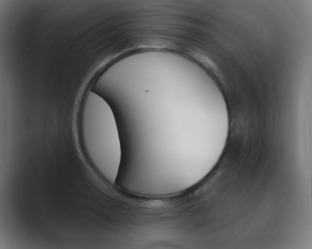 X0000089851130200706281015