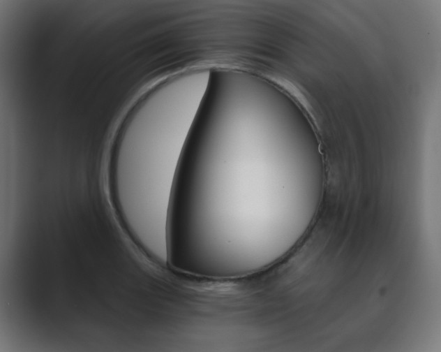 X0000089851131200706281015