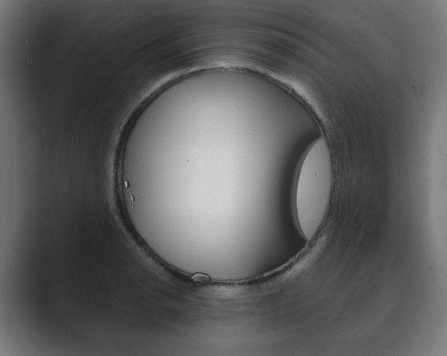X0000089851134200706281015