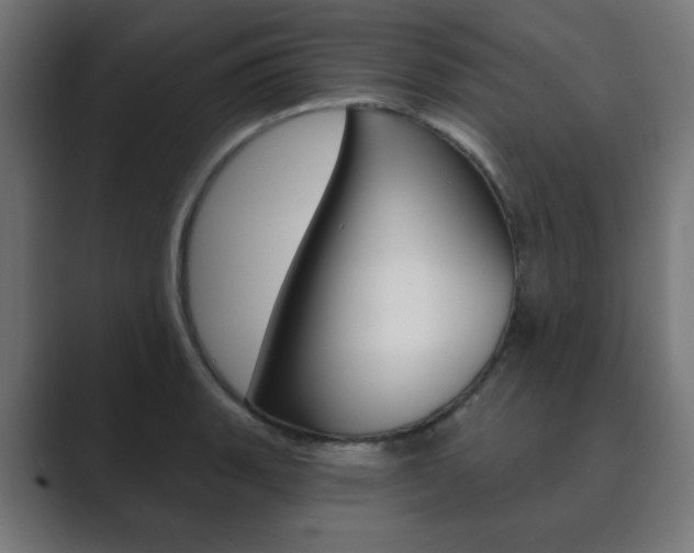 X0000089851135200706281015