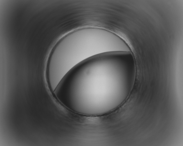 X0000089851136200706281015