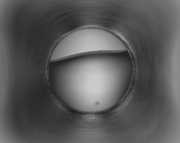 X0000089851137200706281015