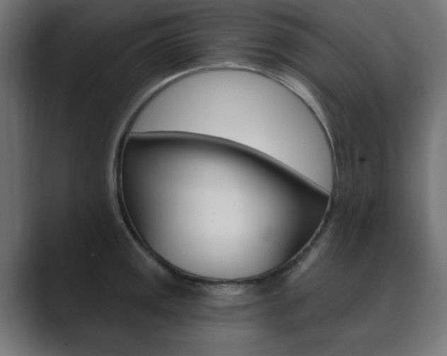X0000089851141200706281015