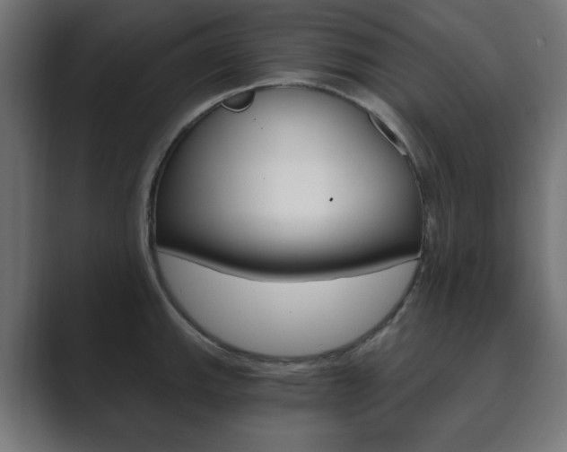 X0000089851143200706281015