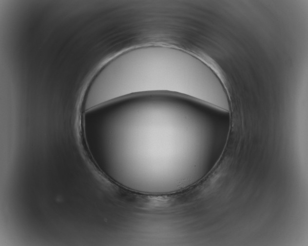 X0000089851144200706281015
