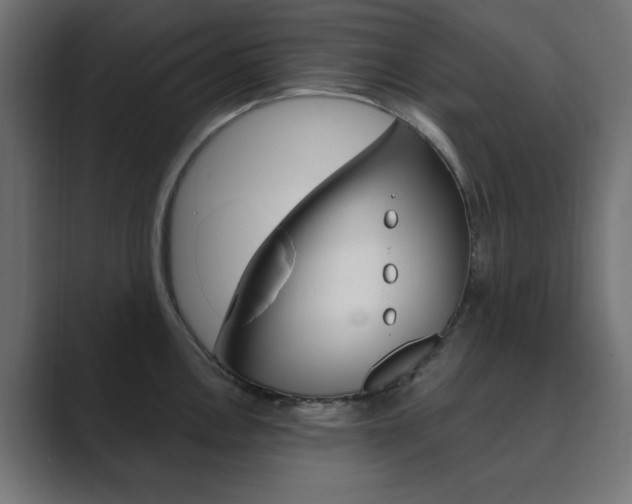 X0000089851146200706281015