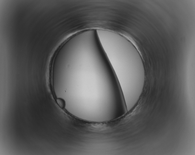 X0000089851147200706281015