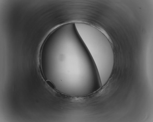 X0000089851148200706281015