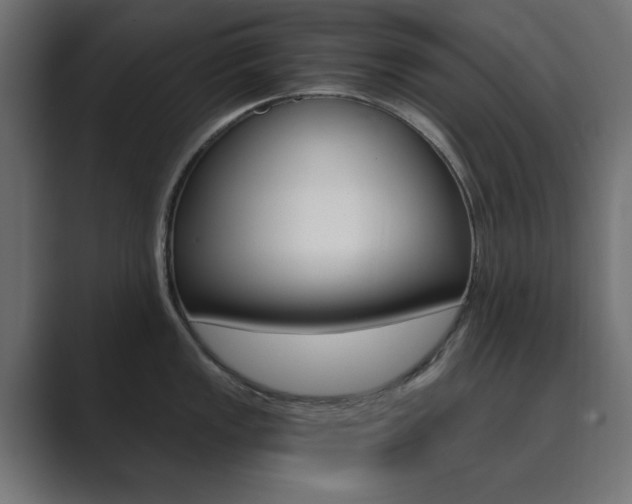 X0000089851149200706281015