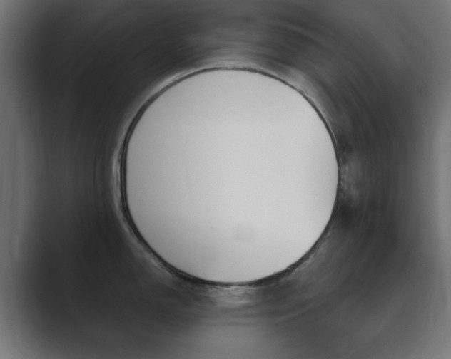 X0000089851150200706281015