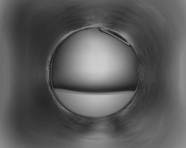 X0000089851151200706281015