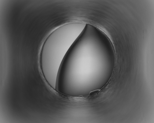 X0000089851152200706281015