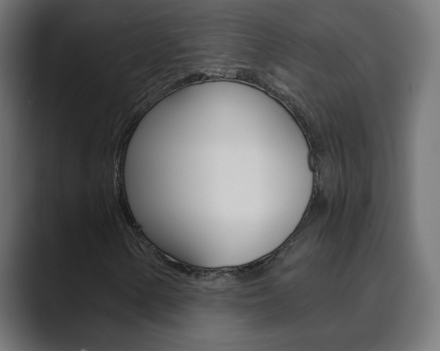 X0000089851154200706281015