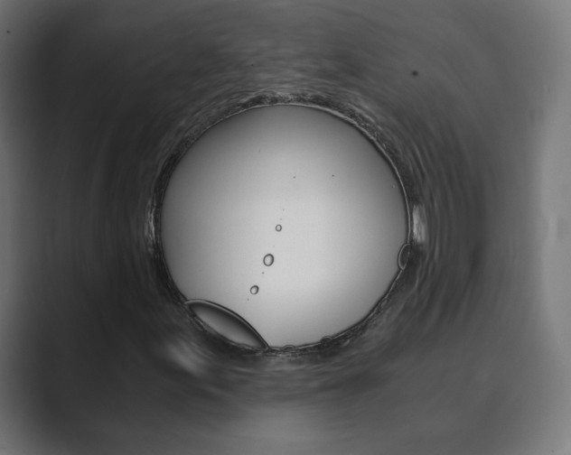X0000089851155200706281015