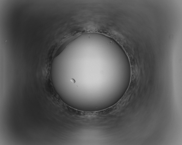 X0000089851157200706281015