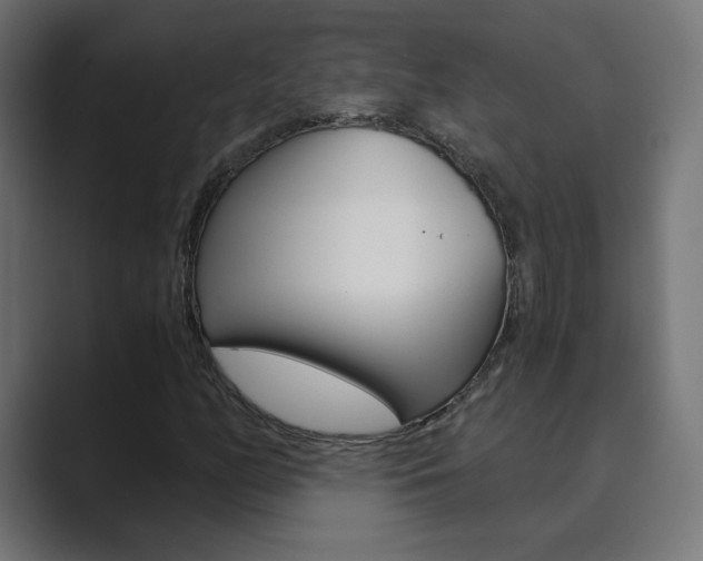 X0000089851158200706281015