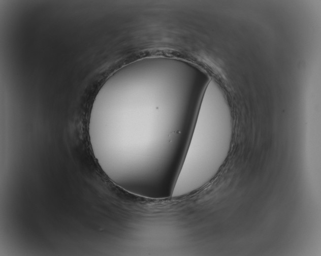 X0000089851159200706281015