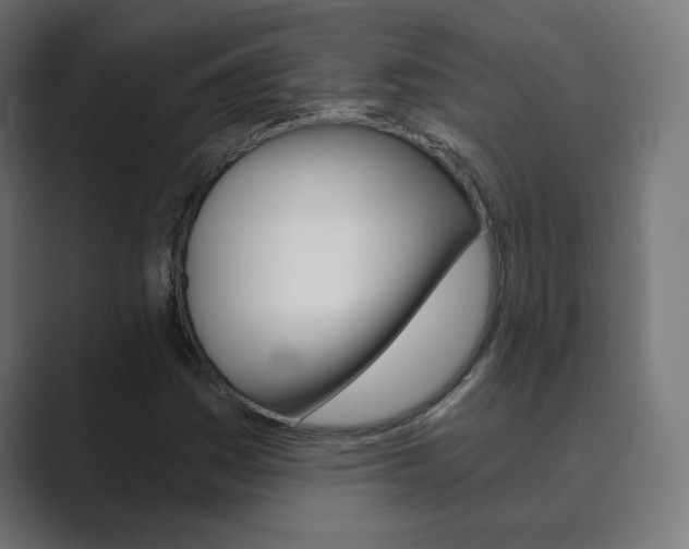 X0000089851161200706281015