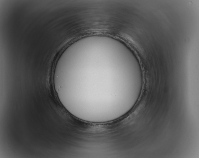 X0000089851162200706281015
