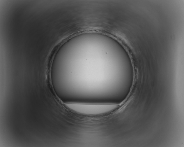 X0000089851165200706281015