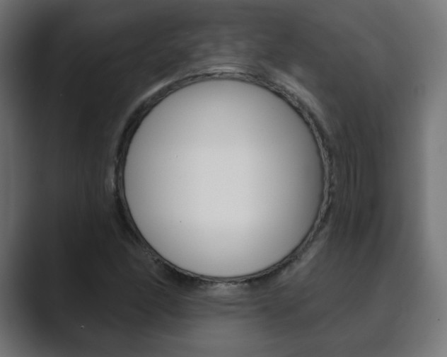 X0000089851166200706281015
