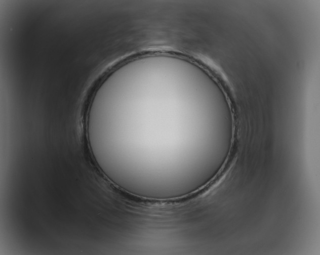 X0000089851167200706281015