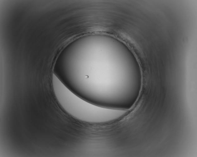 X0000089851169200706281015