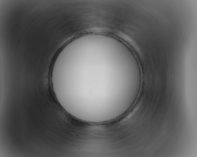 X0000089851170200706281015