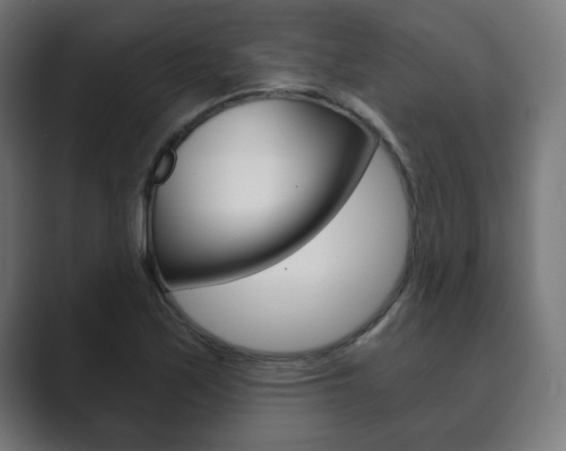 X0000089851171200706281015