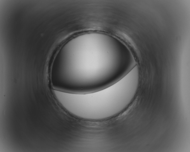 X0000089851172200706281015