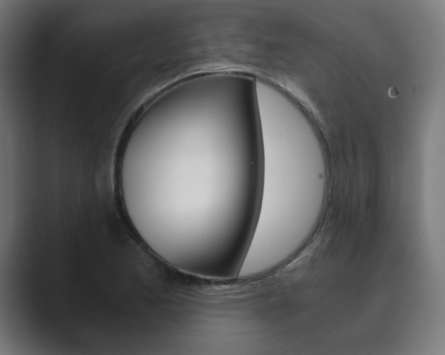 X0000089851173200706281015