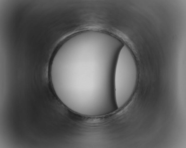 X0000089851174200706281015
