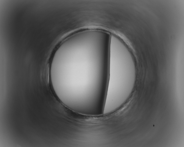 X0000089851175200706281015