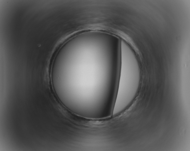 X0000089851176200706281015