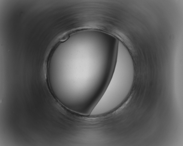 X0000089851180200706281014