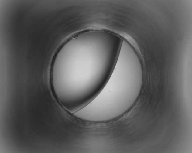 X0000089851183200706281014