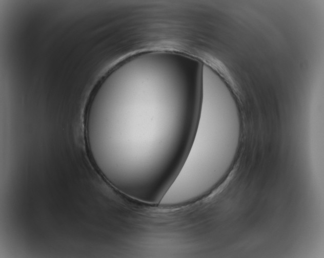 X0000089851184200706281014